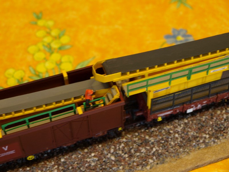 PB046514.JPG
