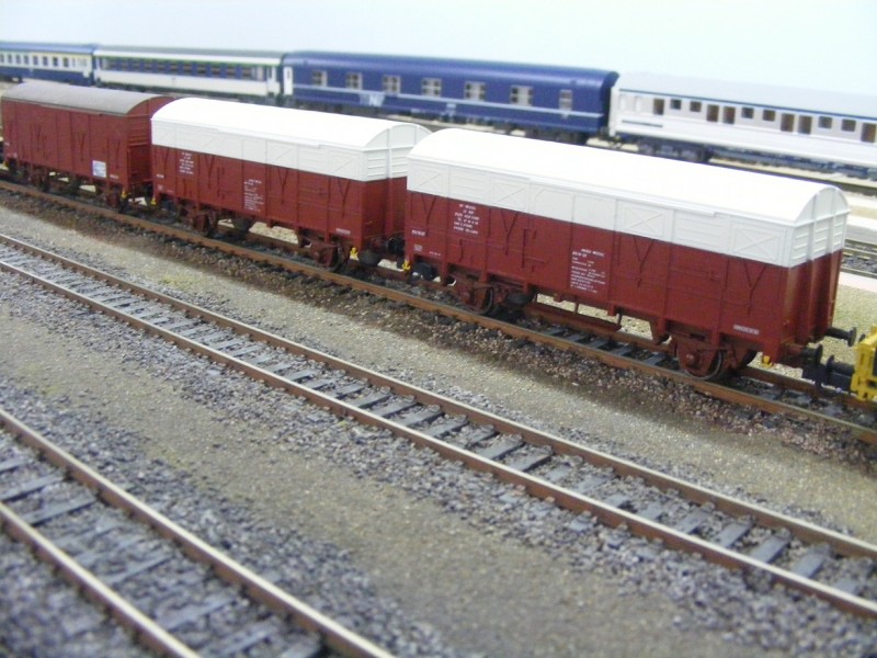 DSCF7033.JPG
