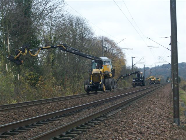 SEE 003.jpg