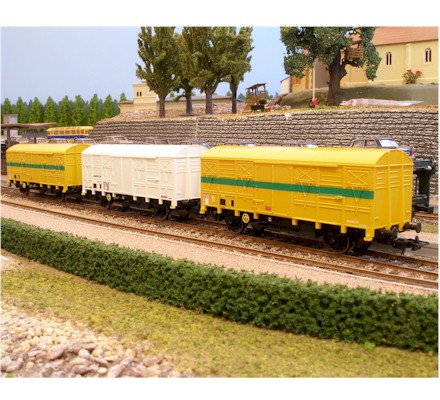 96623.jpg