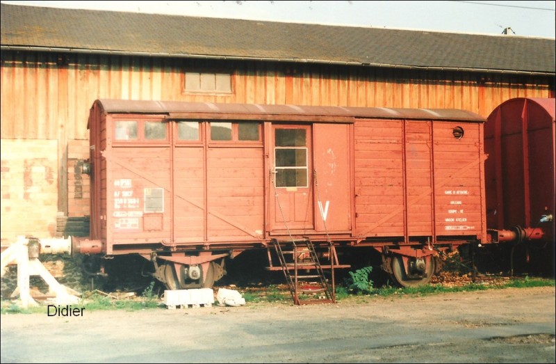95905681.jpg