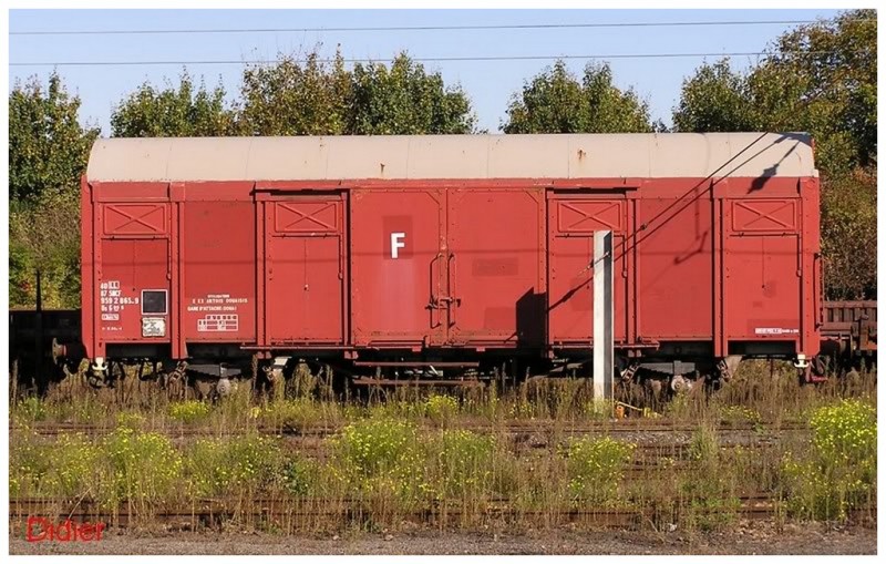 9592865-9.jpg