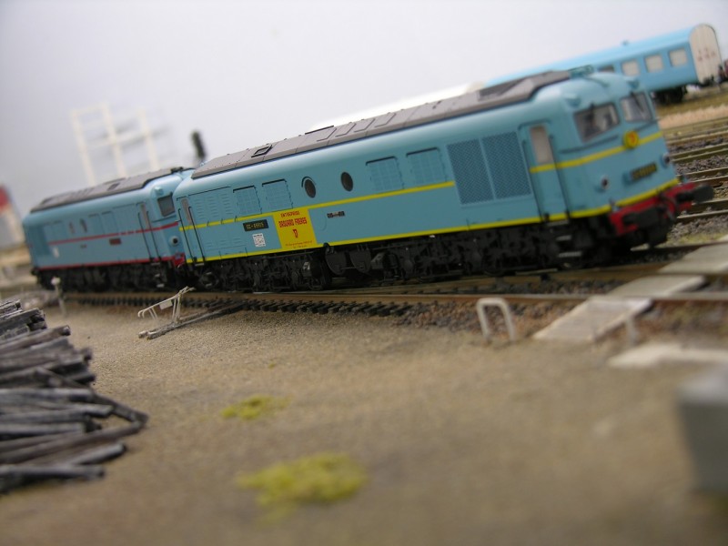 DSCN4445.JPG