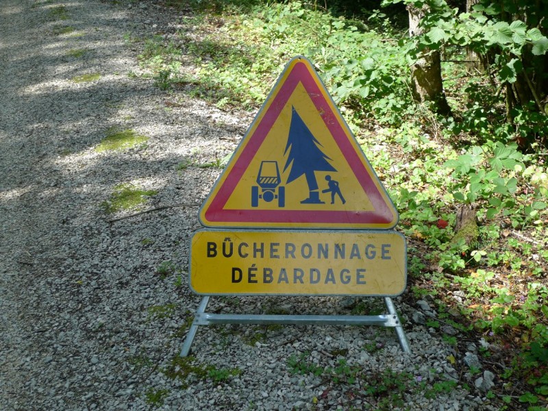 P1000413.jpg