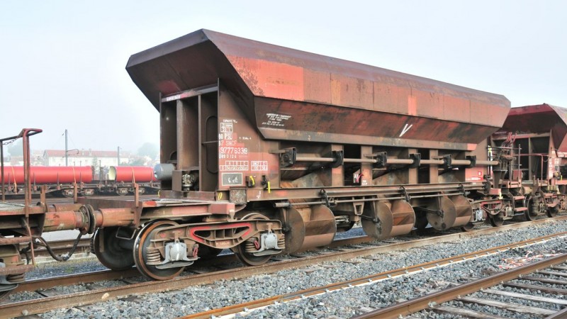 MCS_1466.jpg