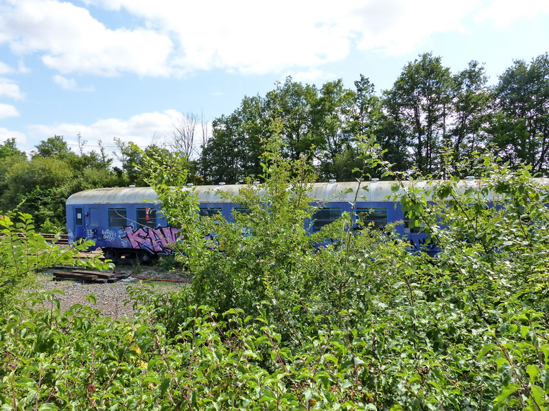 80 87 979 3 420-1 Uas H55 0 SNCF-TR (2015-07-14 gare de Neuillé Pont Pierre) (2).jpg