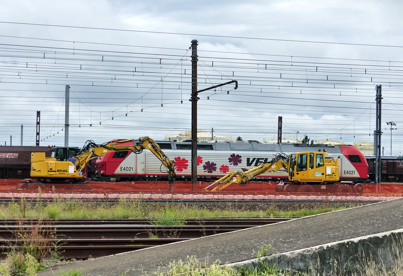 ATLAS 1404 ZW (2015-09-13 triage de SPDC) (4).jpg