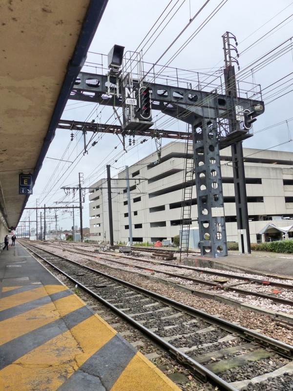 (12) SPDC.jpg