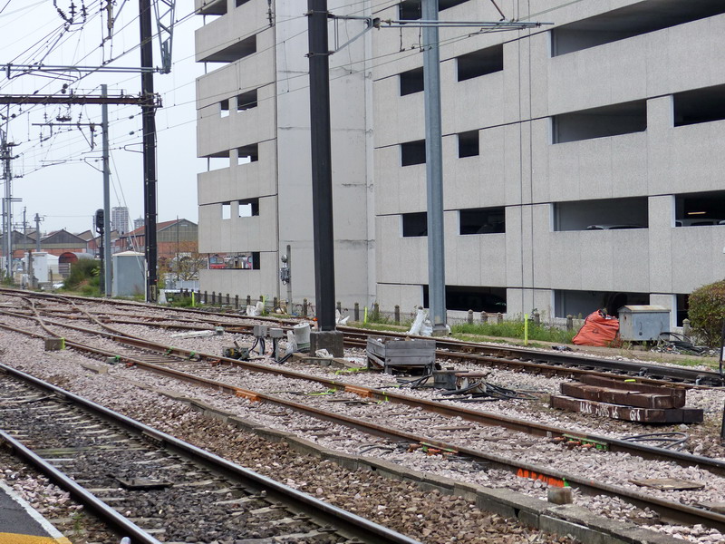 (11) SPDC.jpg