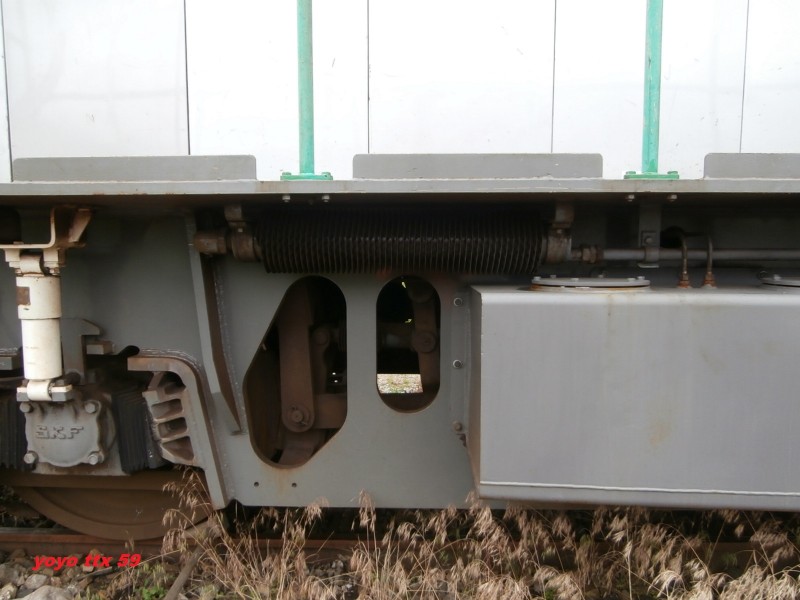 Y 8169=50.JPG