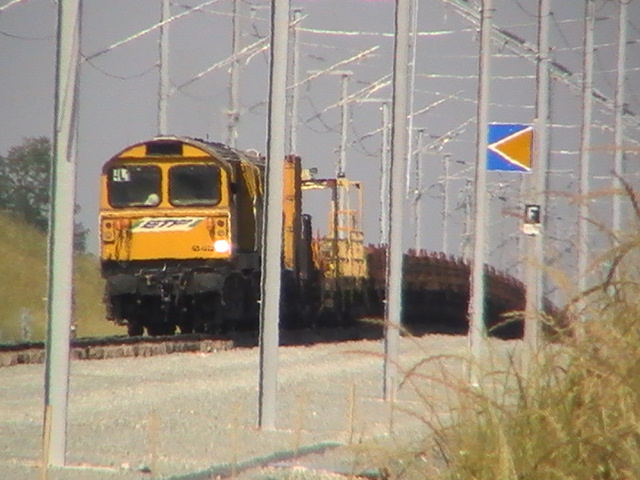 PIC_3374.JPG