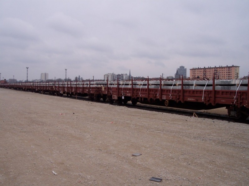 102_2417[1].jpg