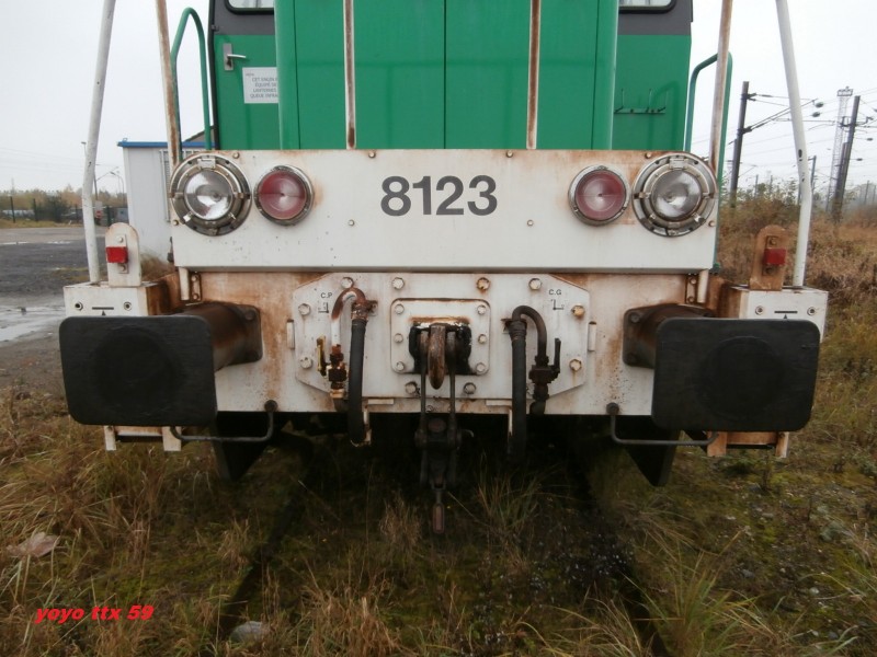 Y 8123=28.JPG