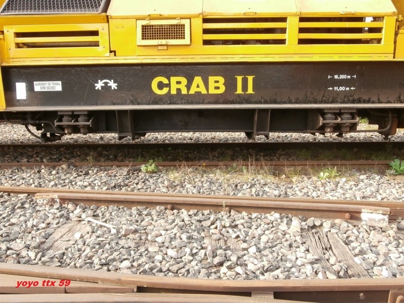 CRAB II=54.JPG