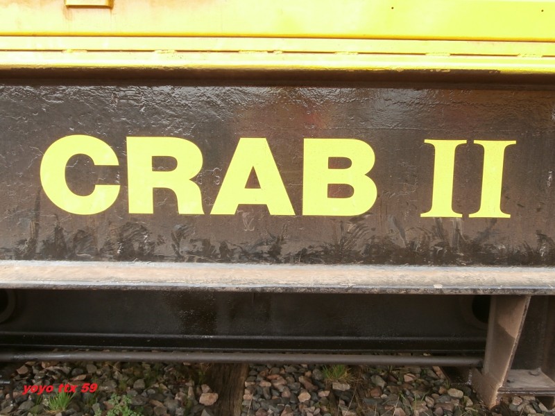 CRAB II=55.JPG