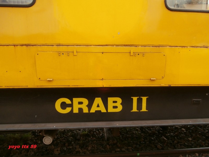 CRAB II=121.JPG