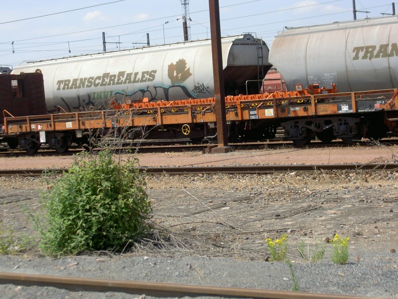 PICT3521.JPG