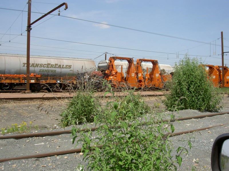 PICT3523.JPG